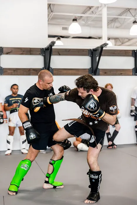 Meta Mixed Martial Arts Picture 6