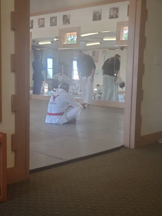 Rising Phoenix Martial Arts, LLC Picture 1