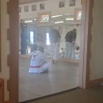 Rising Phoenix Martial Arts, LLC