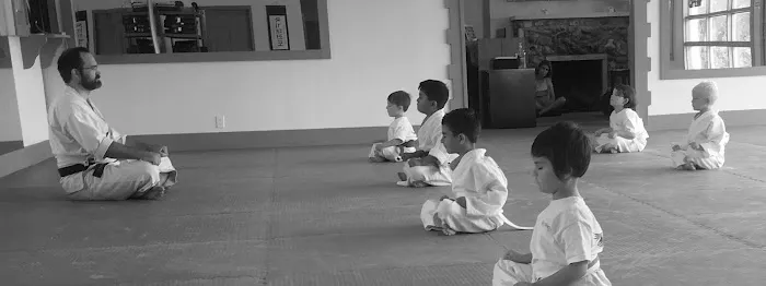 Rising Phoenix Martial Arts, LLC Picture 4