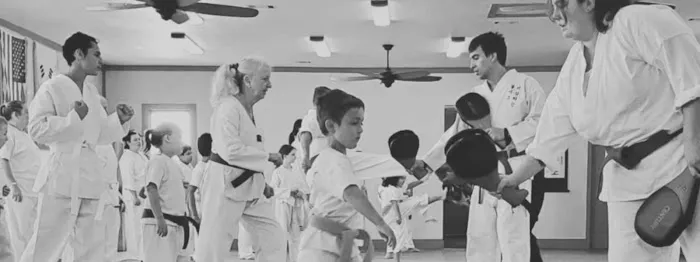 Rising Phoenix Martial Arts, LLC Picture 3
