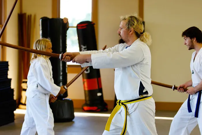 Rising Phoenix Martial Arts, LLC Picture 9