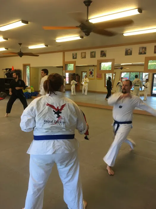 Rising Phoenix Martial Arts, LLC Picture 10