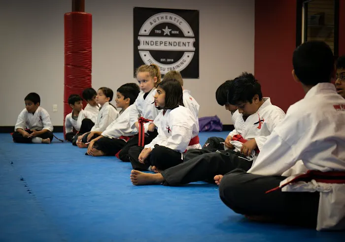 Round Rock Taekwondo Picture 4