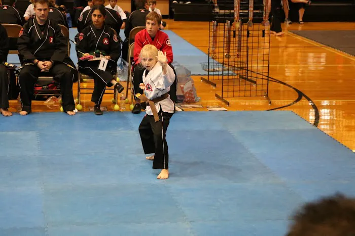 Tiger-Rock Martial Arts of Hutto Picture 9