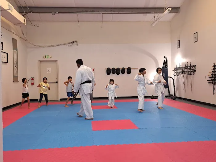 Shin Ku Karate Picture 1
