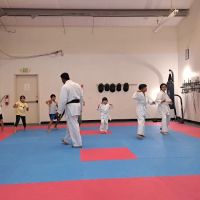 Shin Ku Karate ico