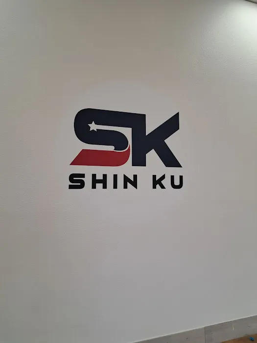 Shin Ku Karate Picture 6