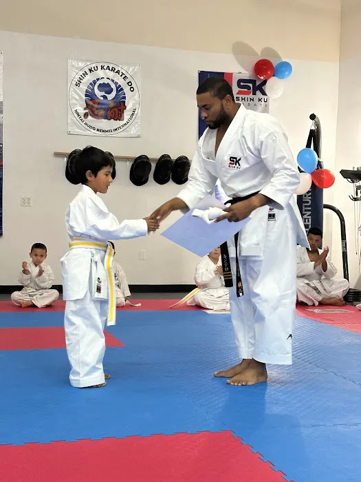 Shin Ku Karate Picture 10