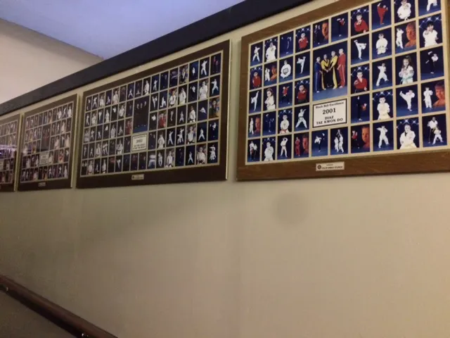 Diaz Martial Arts Picture 9