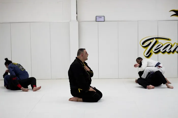 Team Rabadi Georgetown Brazilian Jiu-Jitsu Picture 9
