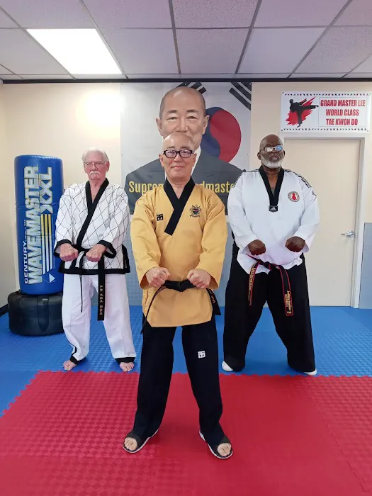 Grand Master Lee's Tae Kwon Do Picture 1