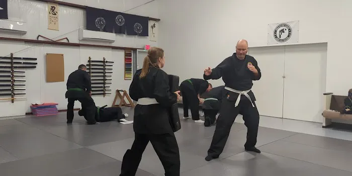 Shin Gan Dojo (Urban Defense Academy) Picture 1
