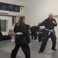 Shin Gan Dojo (Urban Defense Academy) ico