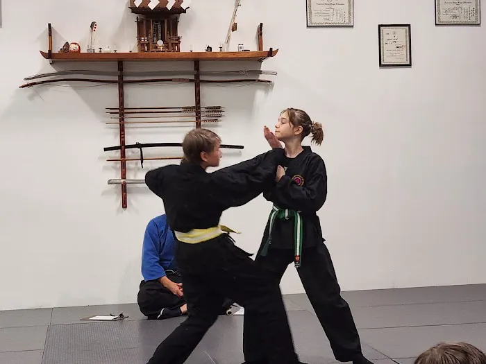 Shin Gan Dojo (Urban Defense Academy) Picture 3