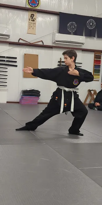 Shin Gan Dojo (Urban Defense Academy) Picture 2