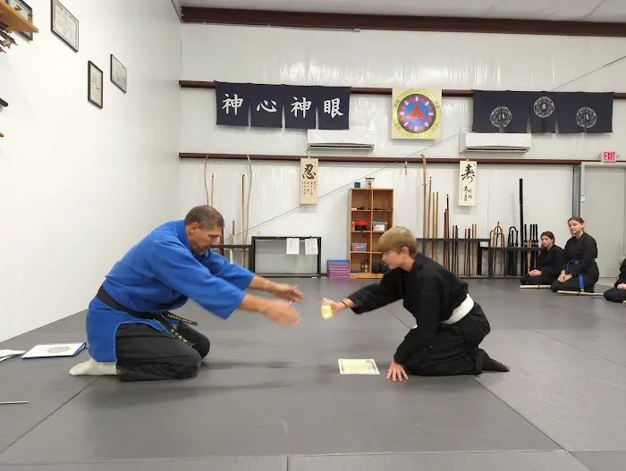 Shin Gan Dojo (Urban Defense Academy) Picture 5