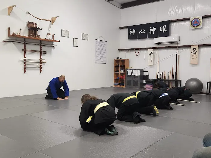 Shin Gan Dojo (Urban Defense Academy) Picture 10