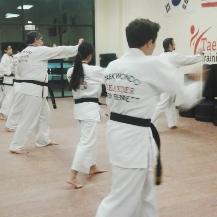 Liberty Hill Taekwondo Picture 1