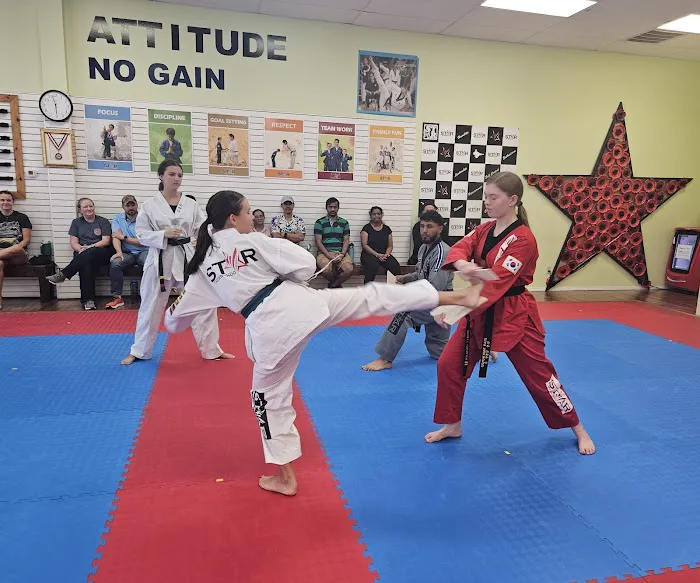Star Taekwondo Picture 3