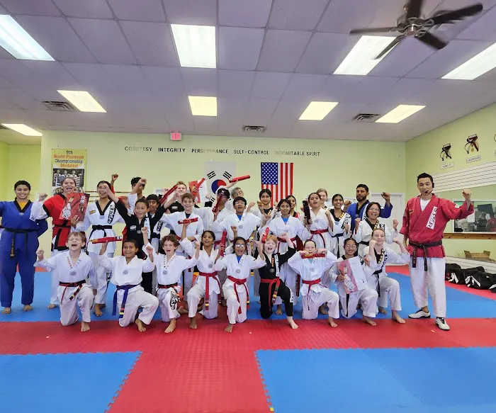 Star Taekwondo Picture 5