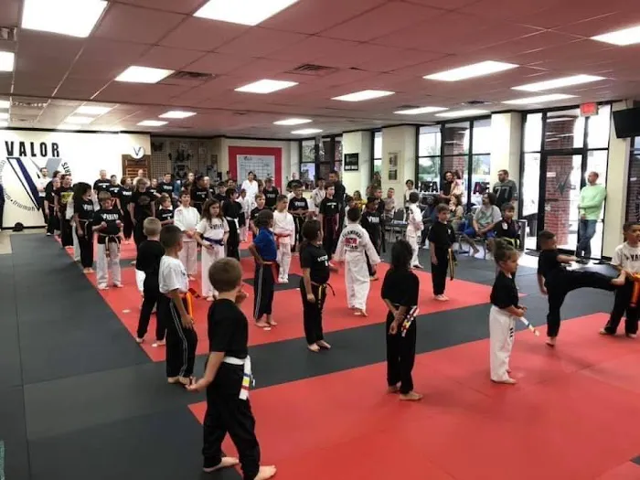 Valor Martial Arts Picture 2