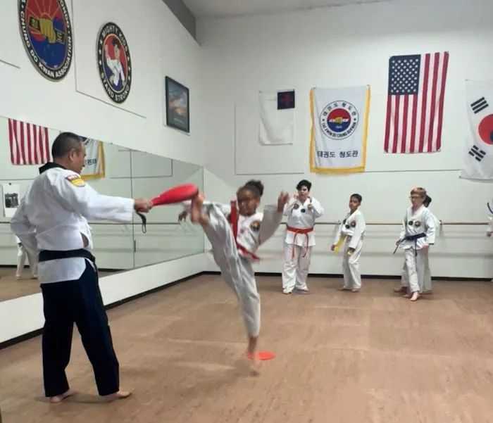 Victory taekwondo Picture 2