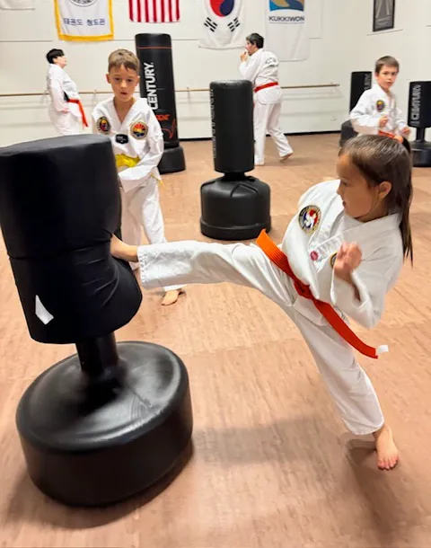 Victory taekwondo Picture 5