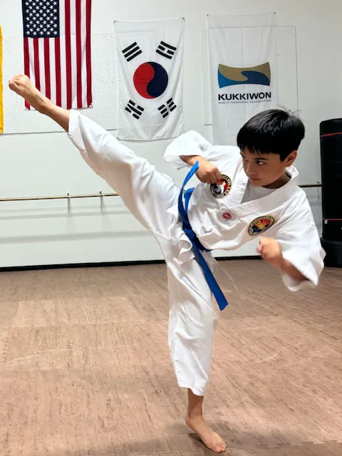 Victory taekwondo Picture 4