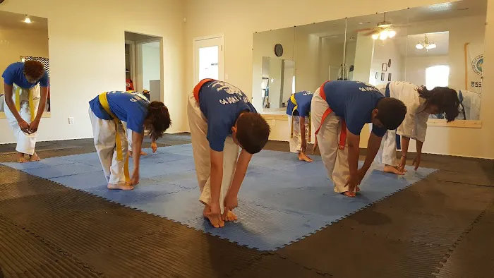 Cougar Tae Kwon Do LLC Picture 1
