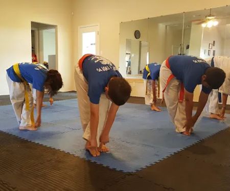 Cougar Tae Kwon Do LLC