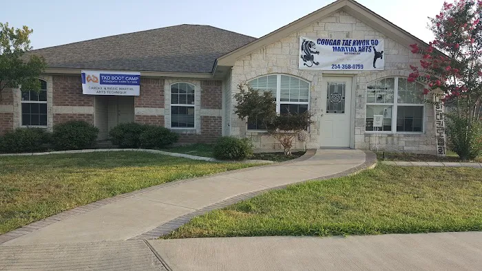 Cougar Tae Kwon Do LLC Picture 2