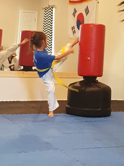 Cougar Tae Kwon Do LLC Picture 5