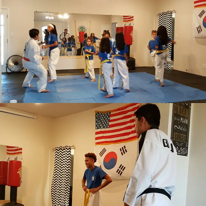 Cougar Tae Kwon Do LLC Picture 4