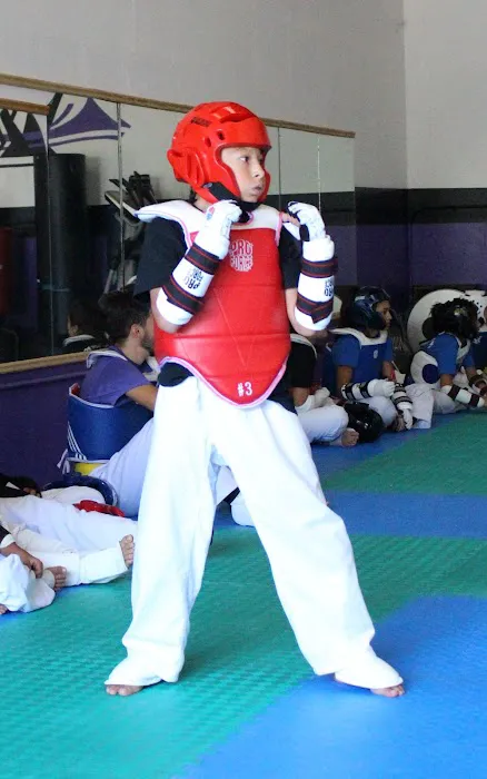 Cougar Tae Kwon Do LLC Picture 8