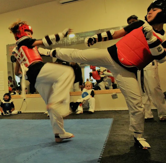 Cougar Tae Kwon Do LLC Picture 7