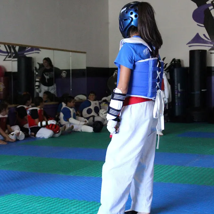 Cougar Tae Kwon Do LLC Picture 10