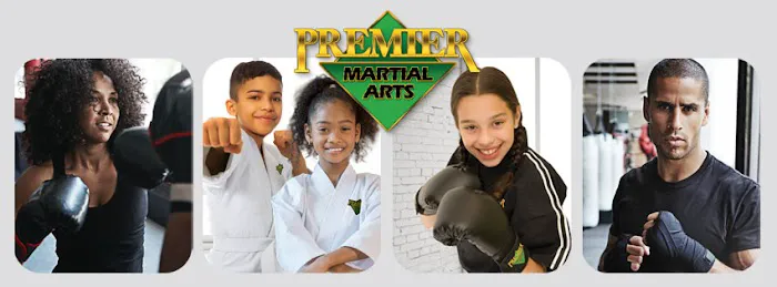 Premier Martial Arts New Braunfels South Picture 2