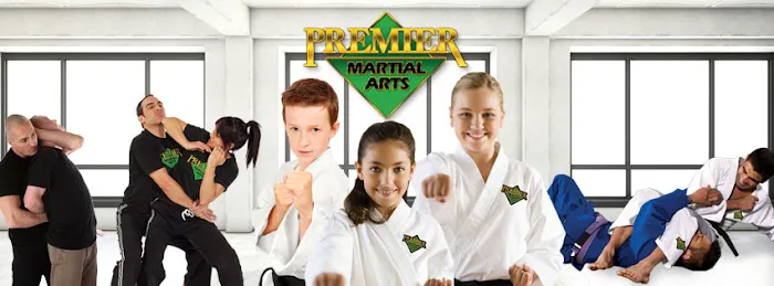 Premier Martial Arts New Braunfels South Picture 4