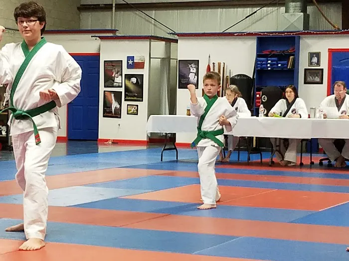 The Texas Academy of Karate Picture 3