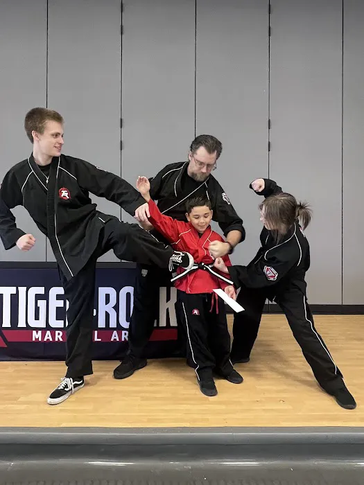Tiger-Rock Martial Arts Picture 2