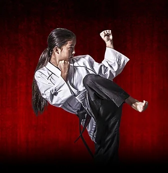 Tiger-Rock Martial Arts Picture 5