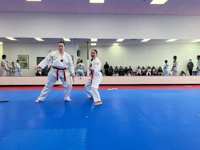 World Class Tigers Taekwondo(formerly Tiger Hong’s World Class Taekwondo) Picture 2