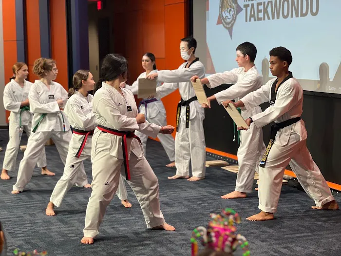 World Class Tigers Taekwondo(formerly Tiger Hong’s World Class Taekwondo) Picture 3