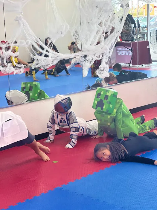 World Class Tigers Taekwondo(formerly Tiger Hong’s World Class Taekwondo) Picture 8
