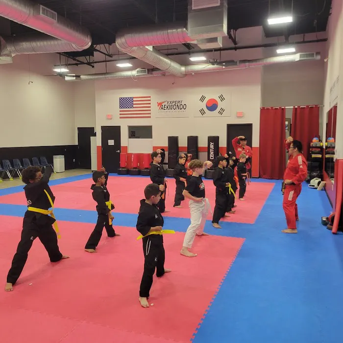 San Antonio Expert Taekwondo Picture 2
