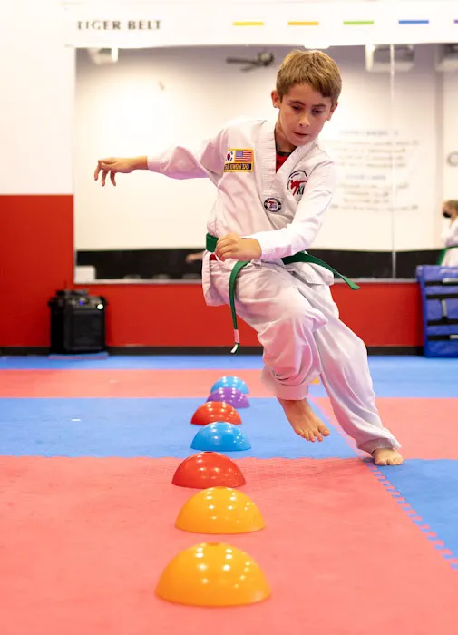 San Antonio Expert Taekwondo Picture 5