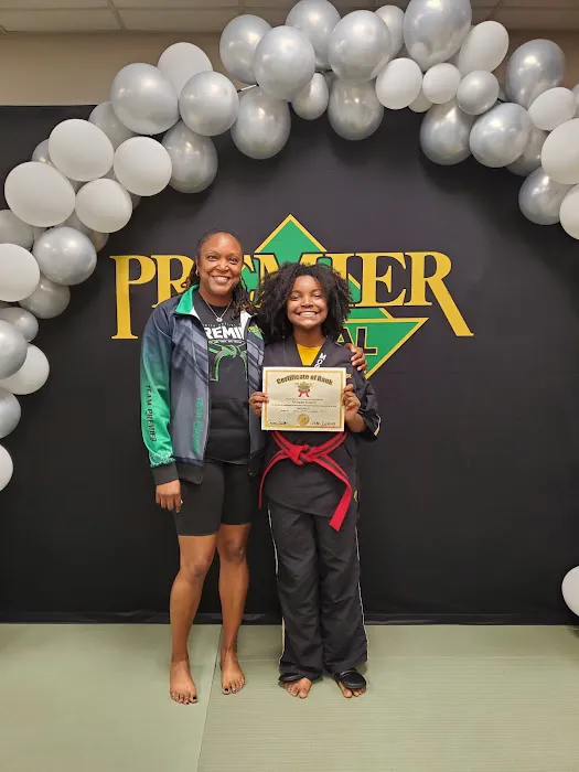 Premier Martial Arts Schertz Picture 7