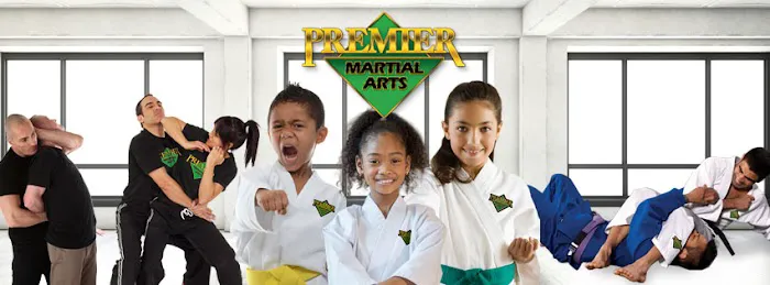 Premier Martial Arts Schertz Picture 9