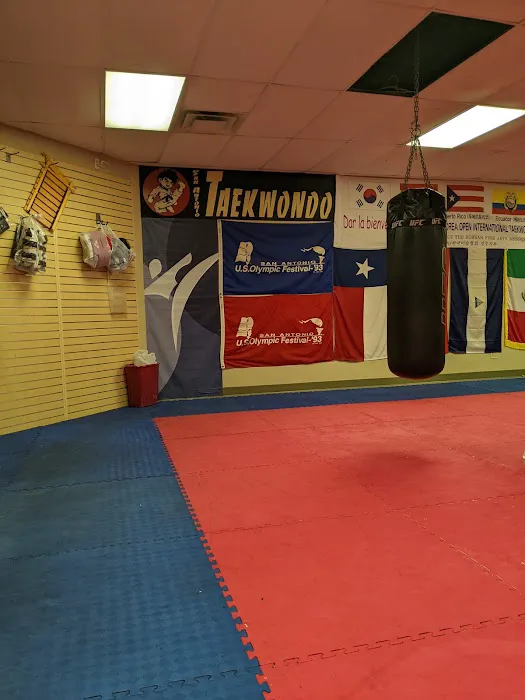 San Antonio Taekwondo Headquarters Picture 4